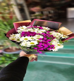 5 no PAPATYA HÜSNÜ YUSUF